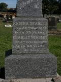 image of grave number 838974